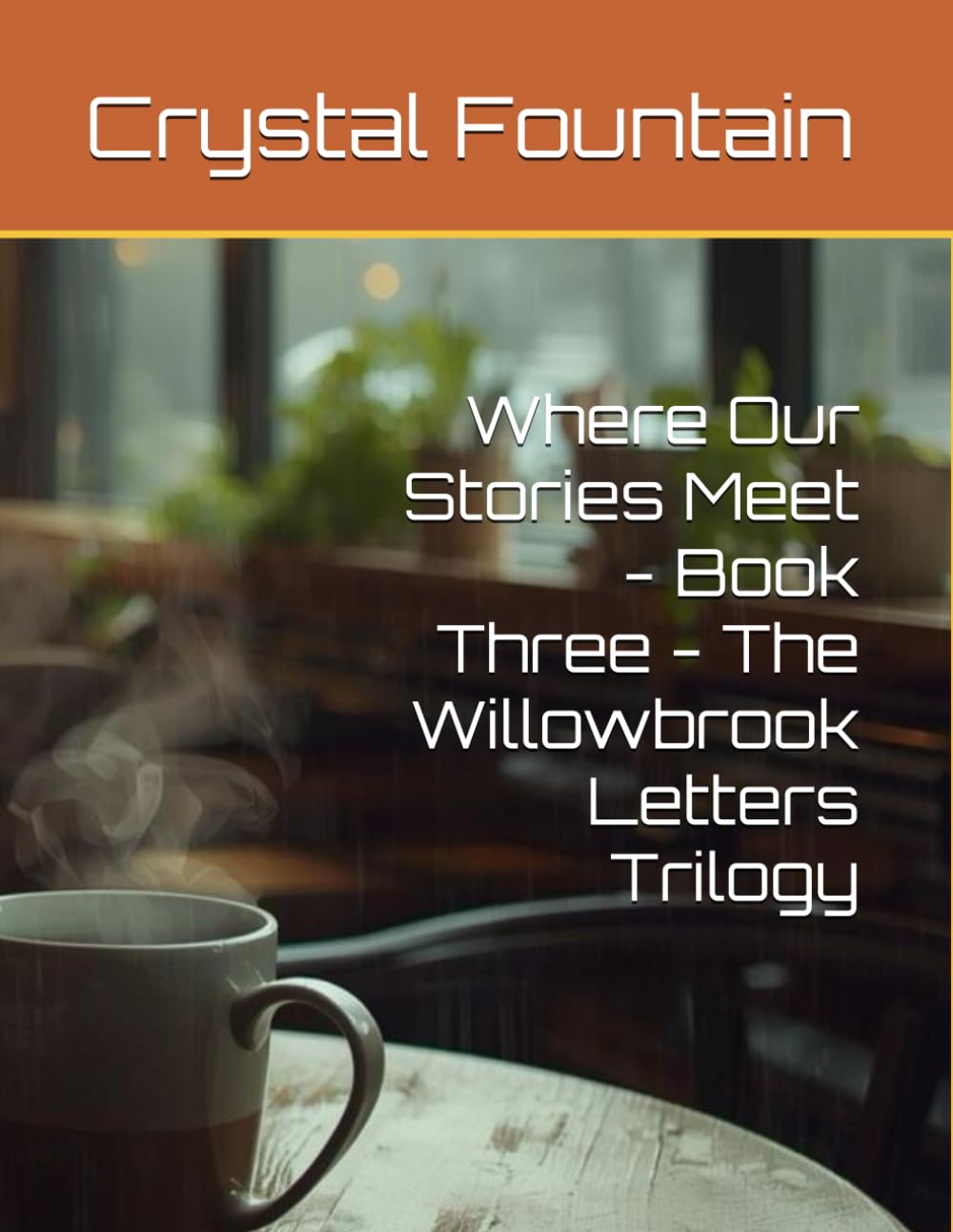 Where Our Stories Meet - Book Three - The Willowbrook Letters Trilogy