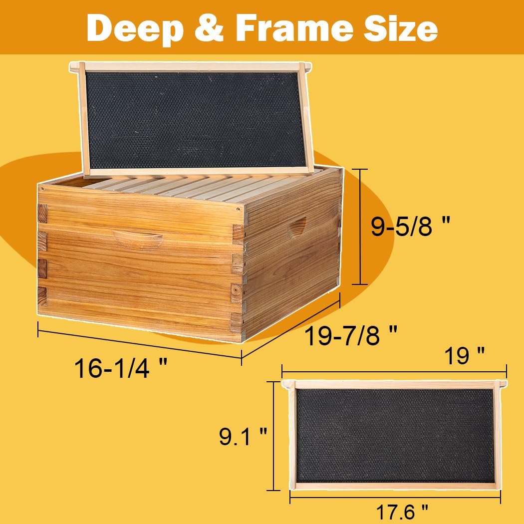 10 Frame Beehive Kit with Screened Bottom Board Dipped in Heavy Beeswax, Bee Hive Boxes Starter Kit for Bee Keekeepers - Langstroth Beehive Kit with 2 Honey Bee Hives Boxes