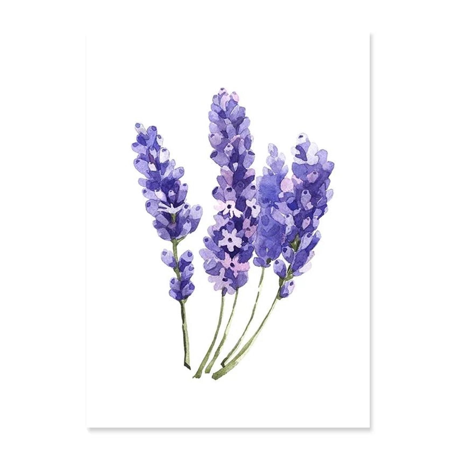 Affiche Toile Peinture Lavande Violet Floral Art Moderne Décoratif Nordique 40x50cm C