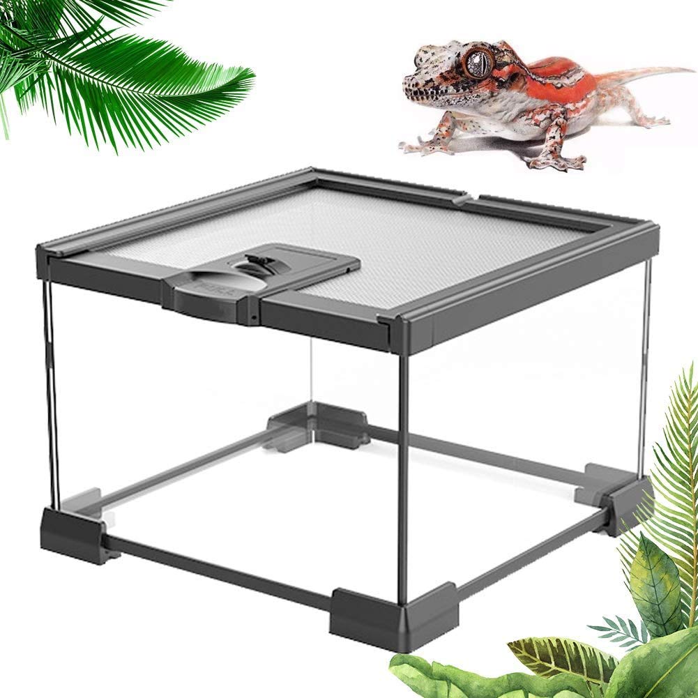 Buy HTDHS Reptile Glass Terrarium, Rainforest Habitat Kit Top Screen