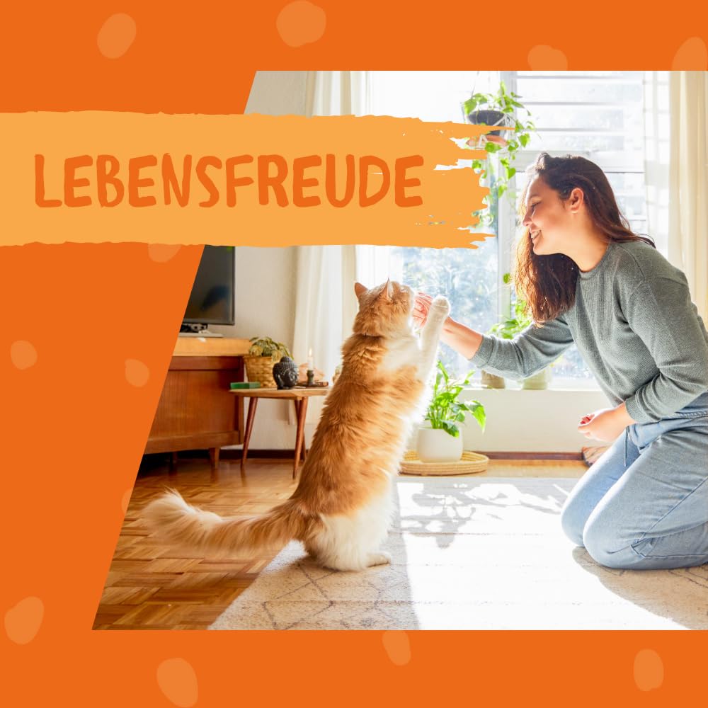 DOKAS Snack-Creme mit Huhn – Cremiger Premium Snack für Katzen – Ideal als Topping oder zur Belohnung