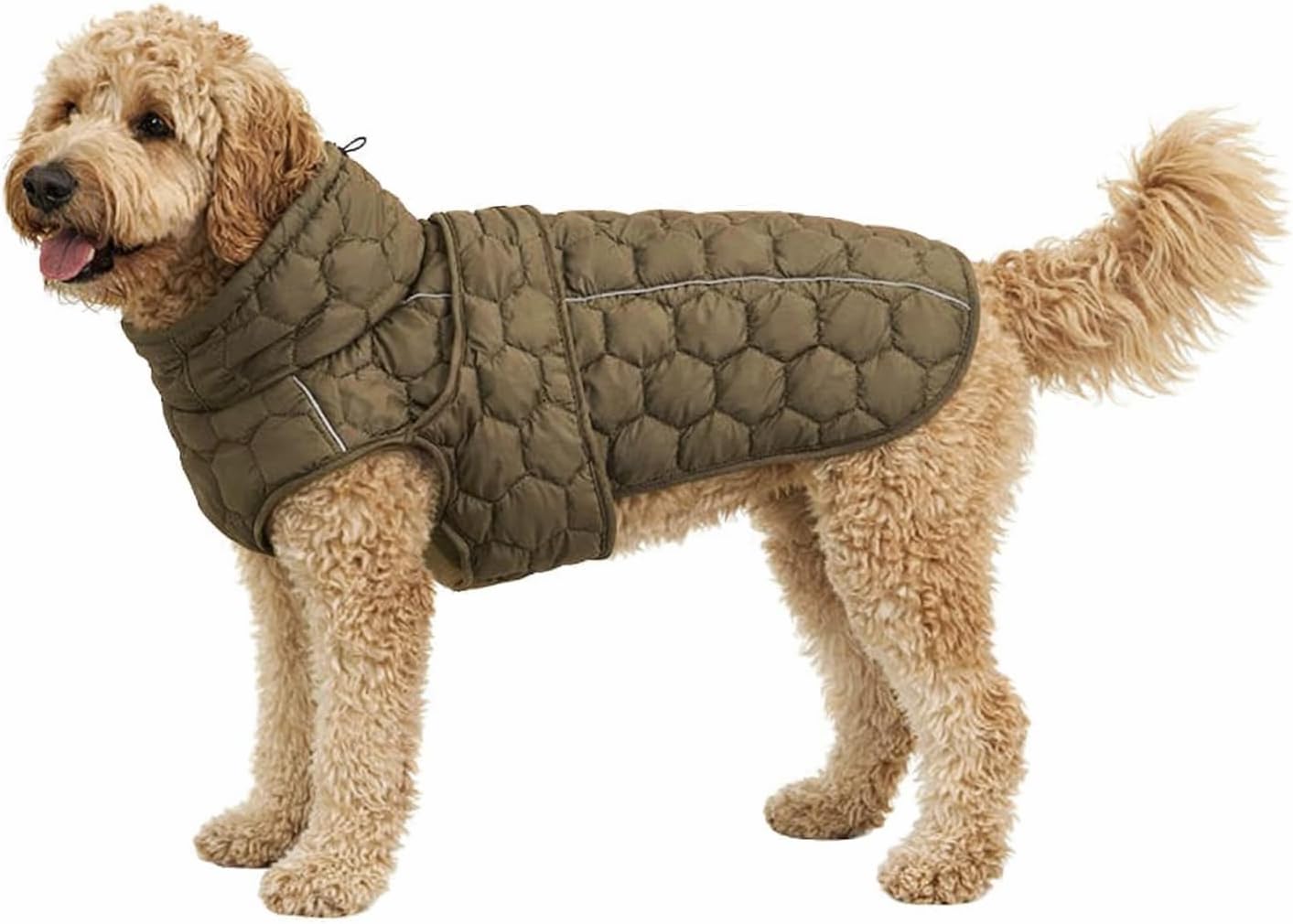 Dog Cold Weather Coat Vest Warm Fleece Jacket Puffer Dog Clothes for Small Dogs Medium Large Dogs (Green, X-Large)
