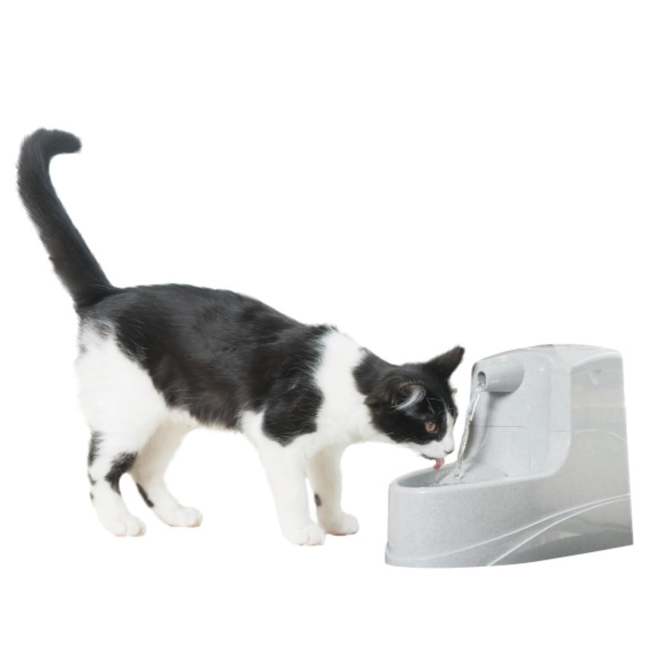 PetSafe Drinkwell mini fontanna do picia, podwójny system filtrowania, odpowiednia dla małych psów i kotów, pojemność 1,2 l