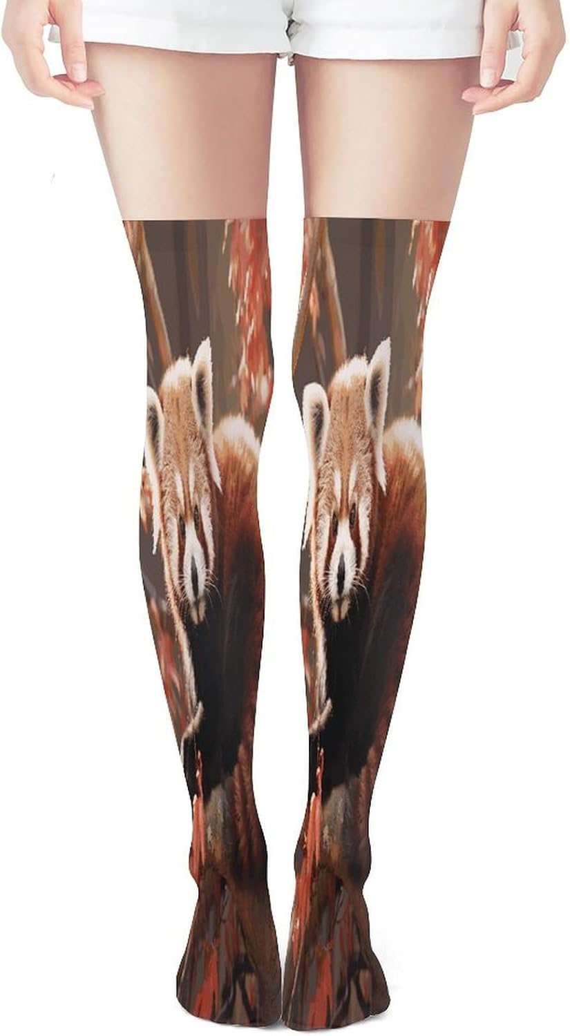 Red Panda Women High Waist Fishnet Stockings Stretch Mesh Pantyhose Sexy Trendy Legwear for Daily Wear
