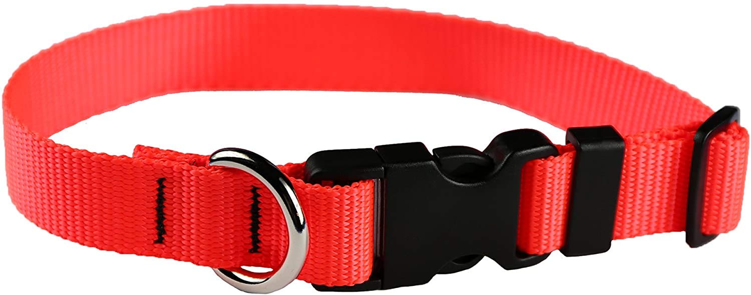 Dog Collar - Colored Adjustable Pet Collars, 3/4 Inch Wide, Medium, Hot Orange