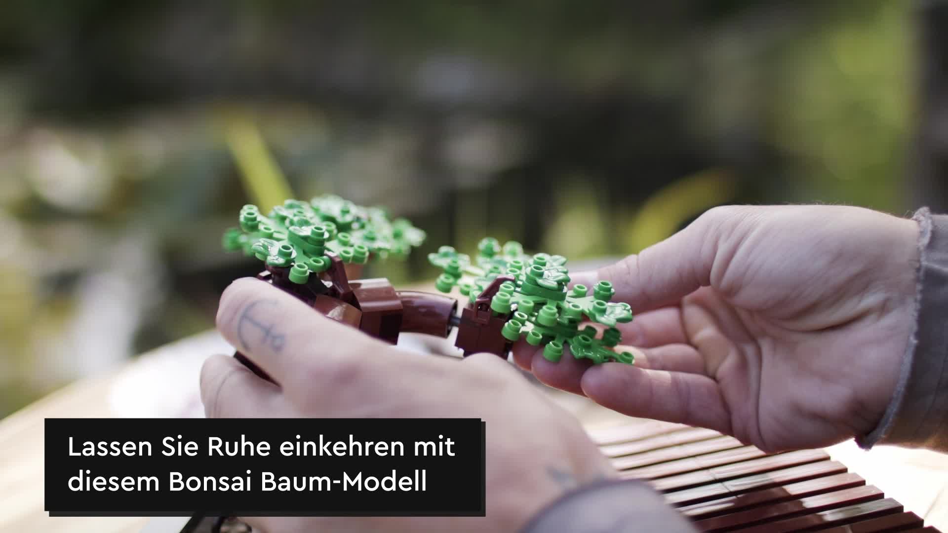 LEGO 10281 Icons Bonsai Baum, Kunstpflanzen-Set zum Basteln für Erwachsene, Zimmerdeko, Geschenkidee, Botanik-Kollektion… – Bild 8
