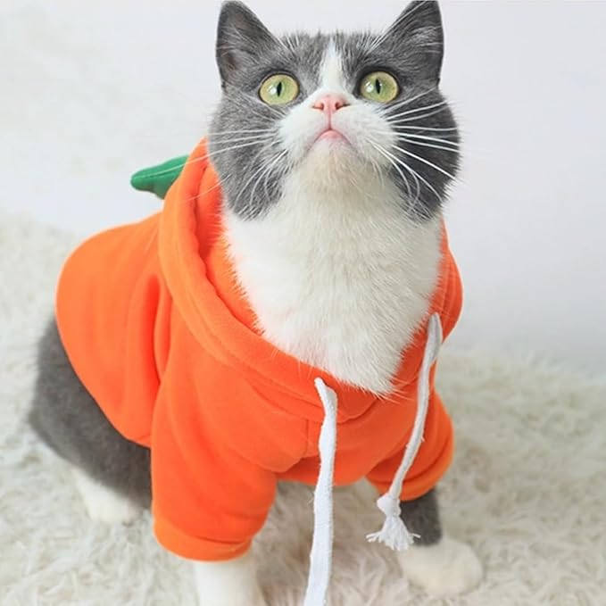Suéter con Capucha de Zanahoria para Perro Pequeño - Disfraz Halloween miniatura 3