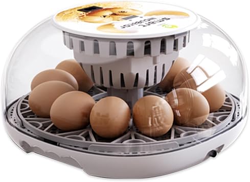 Egg Incubators, Automatic Chicken Incubator with 12 Hatching Eggs, Egg Incubators for Hatching Eggs for Small Poultry, Chickens, Ducks (Water bottle not included)