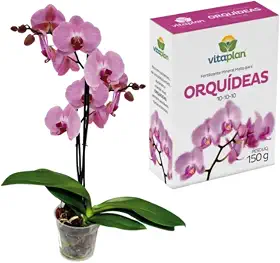 Fertilizante Adubo Substrato Mineral Orquideas 150g Flores Lindas e Saudaveis
