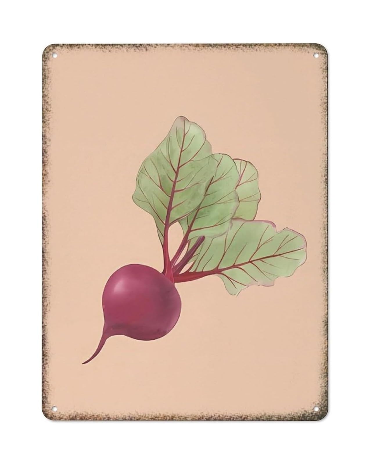 FNYUVNFAF Retro Vegetable Art Metal Wall-Art Beetroot Botanic Print Vintage Farm to Table Decor for Kitchen Pantry or Farmhouse 8 X 12 in