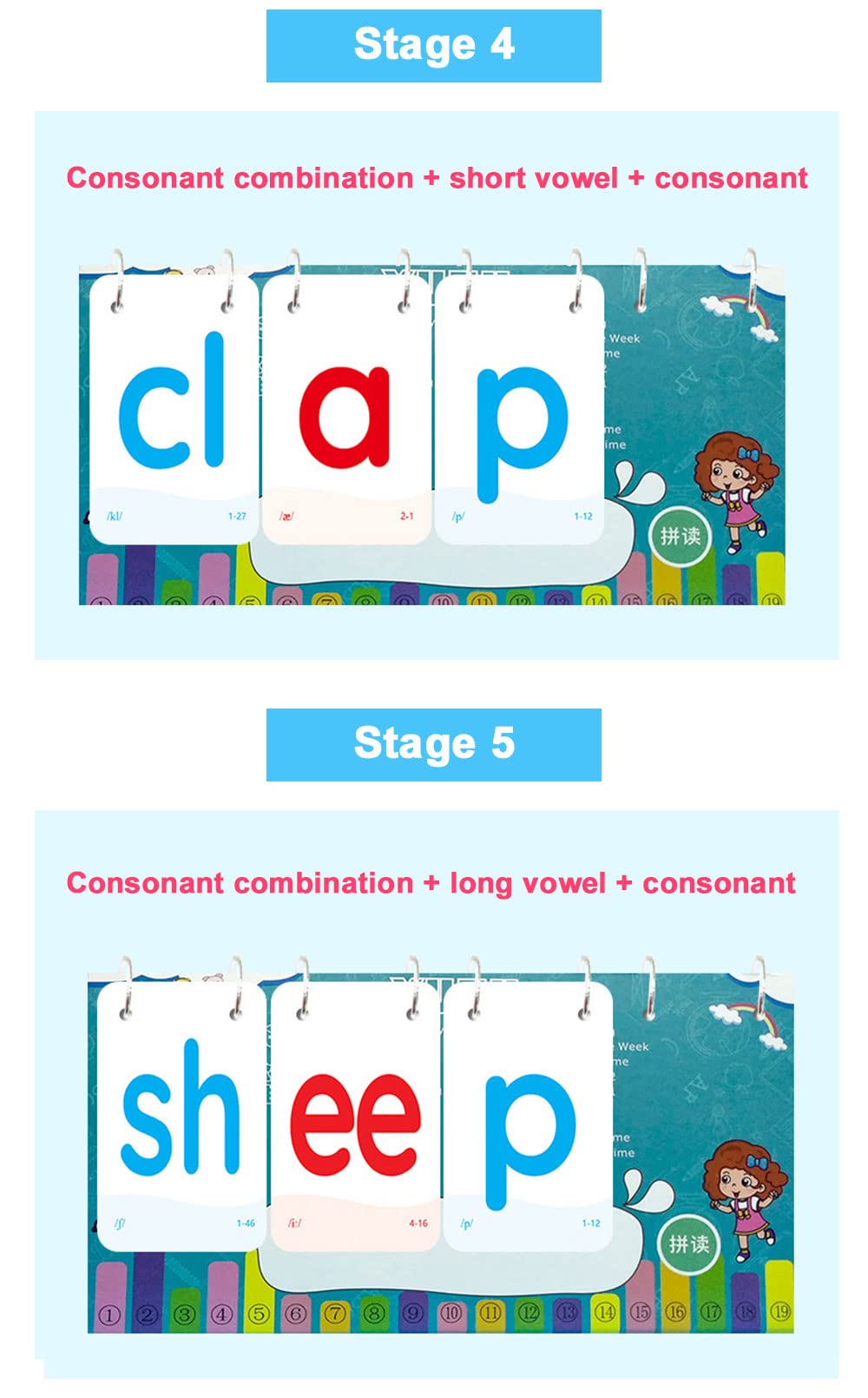Richardy English Phonics Flashcards with 4 Syllable Flips Spelling Flip Cards Kids Educational Learning Toys Children Reading Games Vocabulary Building 252 Cards Level 2 - Image 6