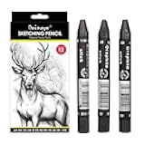 dainayw Professional 12 Pcs Drawing Sketching Pencil Set - 3 Pcs Graphite Stick Set