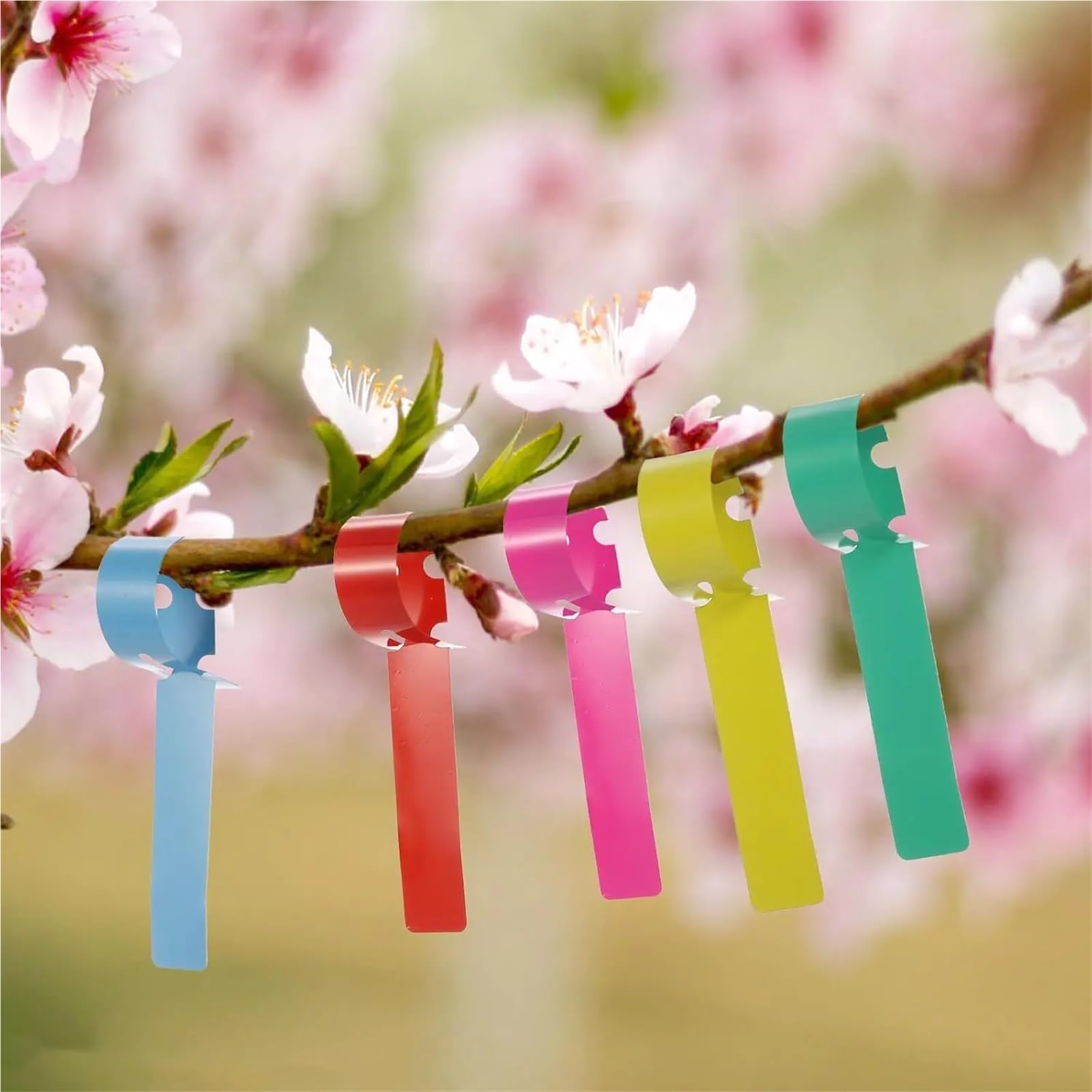 Etichetta Per Piante 500/1000 pezzi di etichette for piante 5 colori circondano l'albero appeso, indicatori regolabili impermeabilizzano l'asilo(Multicolor 1000pcs)