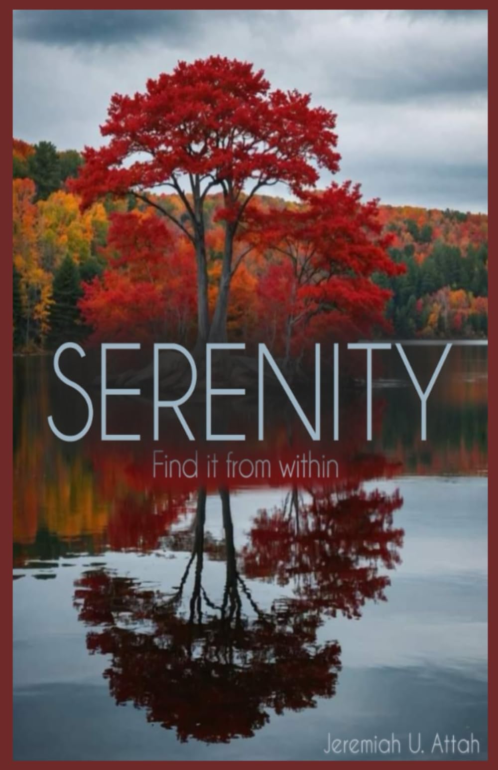 SERENITY: Find it from within; Emotional Resilience, Mental Well-being, Inner peace.
