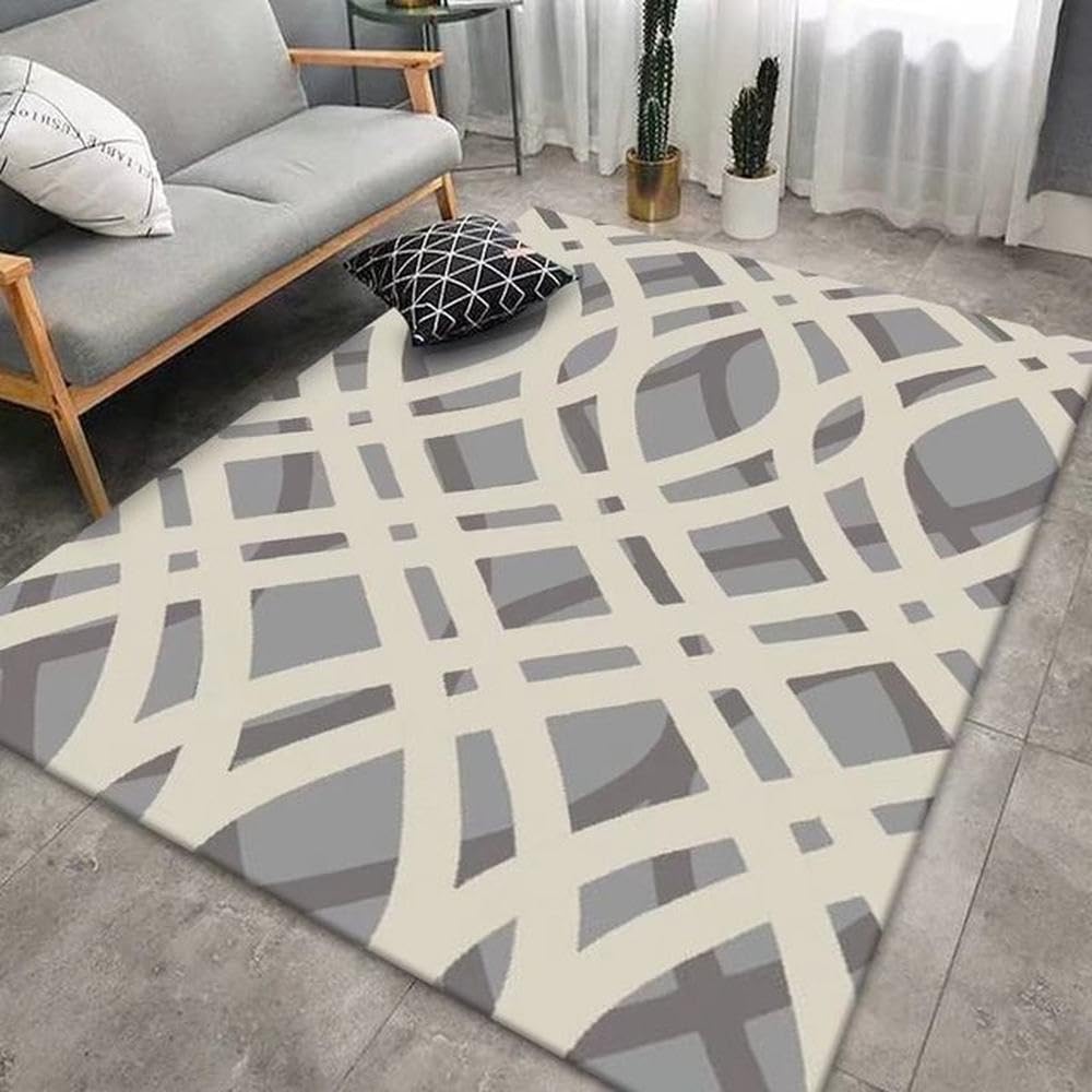 Tapis abstrait moderne au pied du canape pour creer un salon chaleureux et design