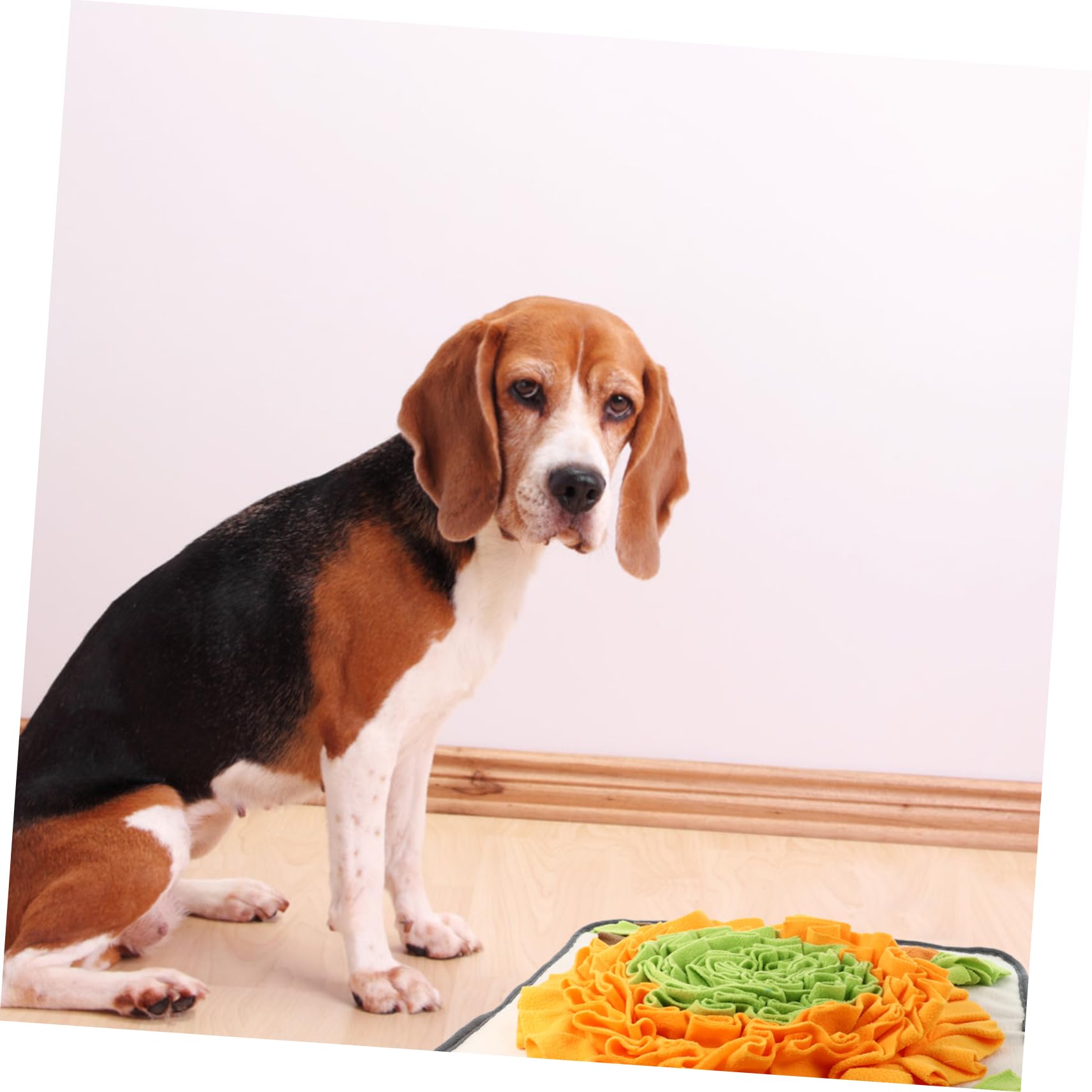 Tappeto per Cani Snuffle Mat 1 Pezzo in Pile Polare, per Foraggiamento | Leggero e Portatile, Si Può Appendere alla Gabbia, Soluzione Semplice per Pet Food
