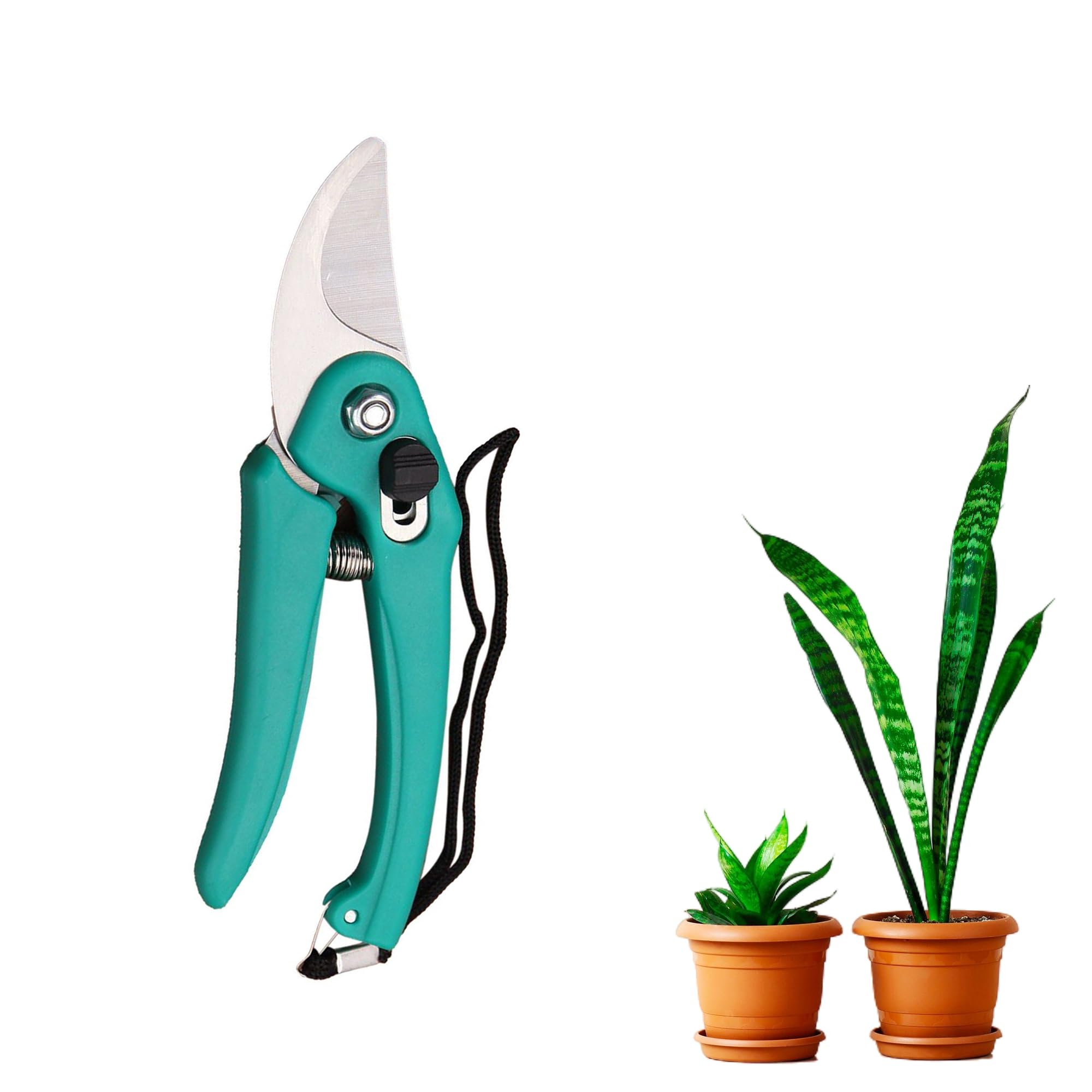 See full amazon price history chart for Growtop Assorted Hand Pruner Cutter - 1Pc (Steel Blades) | Gardening Cutter Tool | Plant Cutter for Home Garden | Wood Branch Trimmer | Durable Stem Scissors|Trim Plant Cutter|Pruning Shear Growtop Assorted Hand Pruner Cutter - 1Pc (Steel Blades) | Gardening Cutter Tool | Plant Cutter for Home Garden | Wood Branch Trimmer | Durable Stem Scissors|Trim Plant Cutter|Pruning Shear (B0CBS82F1H) Amazon Price History, Amazon Price Tracker