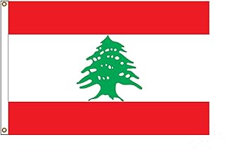 ستورم فلاج علم العاصفة لبنان بوليستر 3 × 5 قدم 90 غرام مع قلعتين نحاسيتين وخياطة مزدوجة