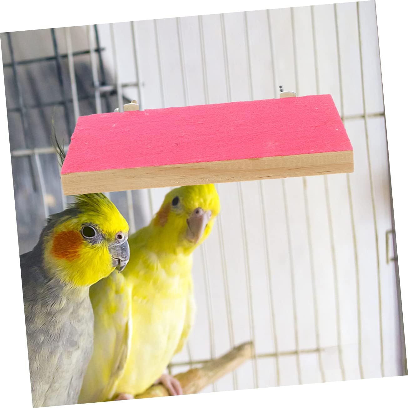 VANZACK 4pcs Pet Rest Station Parakeet Perch Platform Bird Exercise Platform Bird Training Platform Natural Wood Bird Perch Parrot Platform Bird Chewing Toy Cockatiel Stand Pet Bird Toy