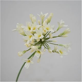 Flower Artificial, 2/African agapanthus Branch Home Table Decoration Silk Artificial Flowers Photo Props Hotel Decor Flores(White)