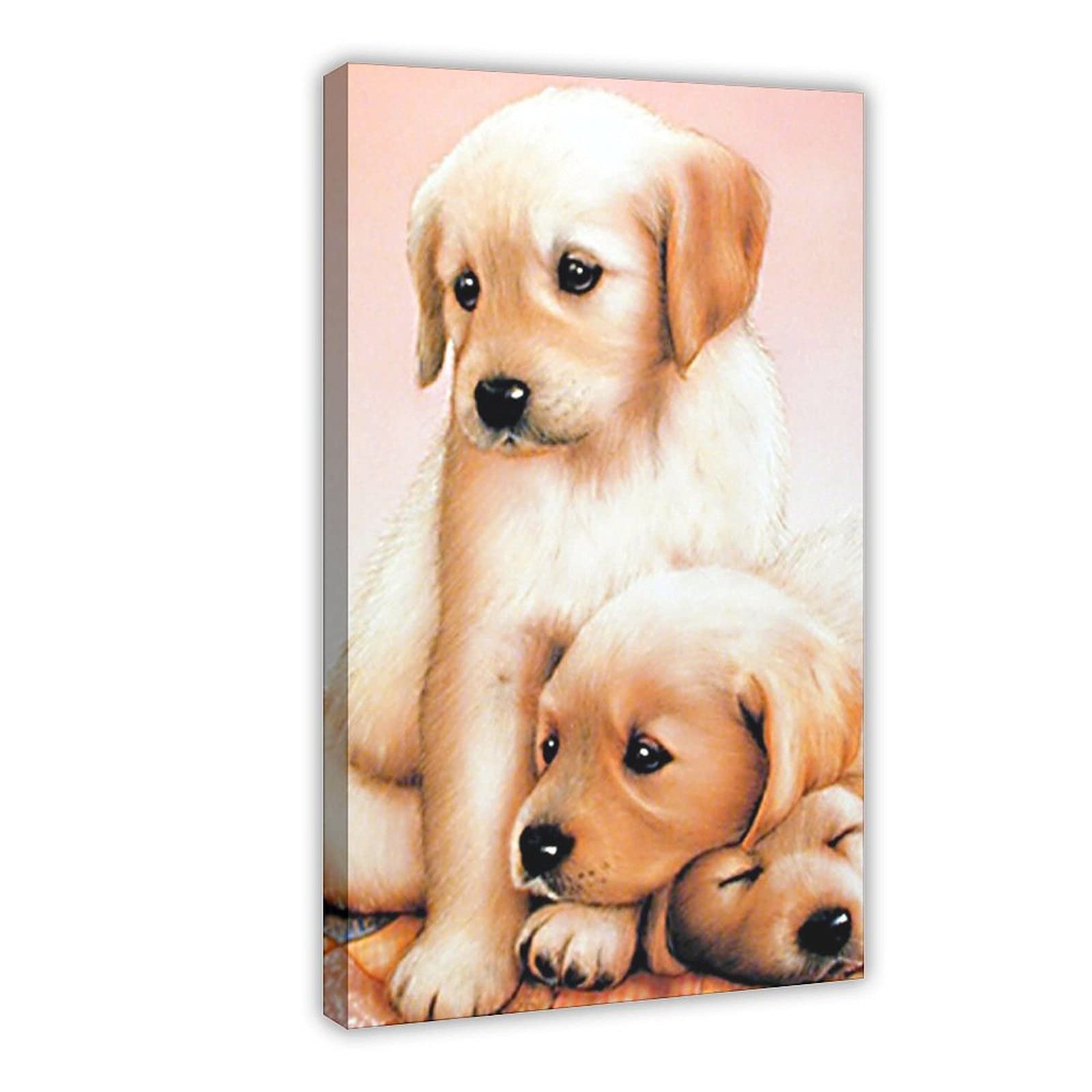 List 94+ Pictures Why Do Dogs Not Like The Middle Finger Superb 10/2023