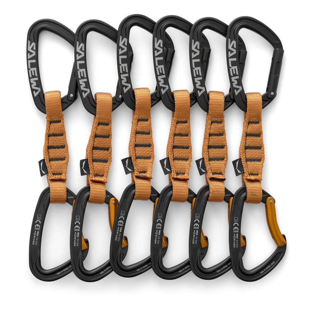 Salewa Ortles Straight/Bent 110 Quickdraw 6 Pack