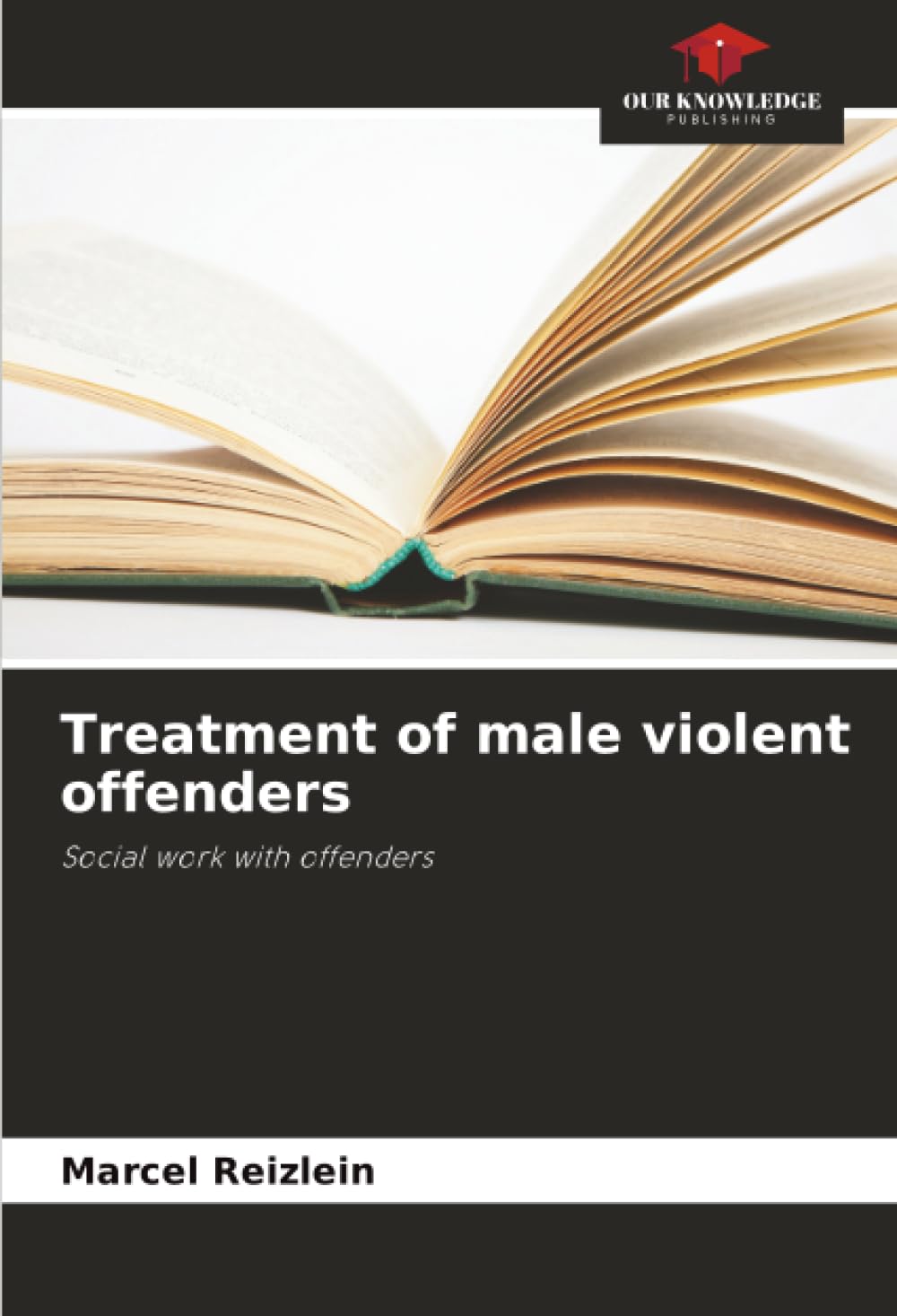 Treatment of male violent offenders: Social work with offenders