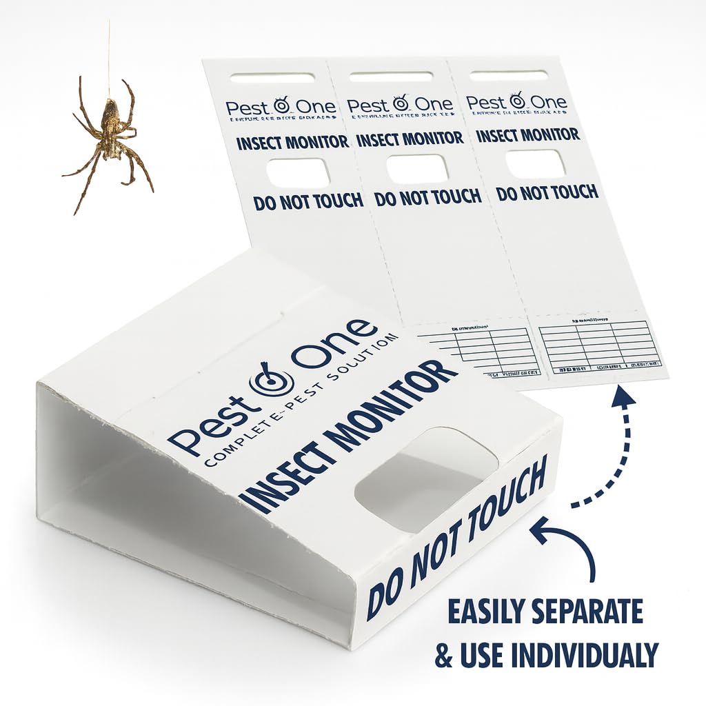 View 2