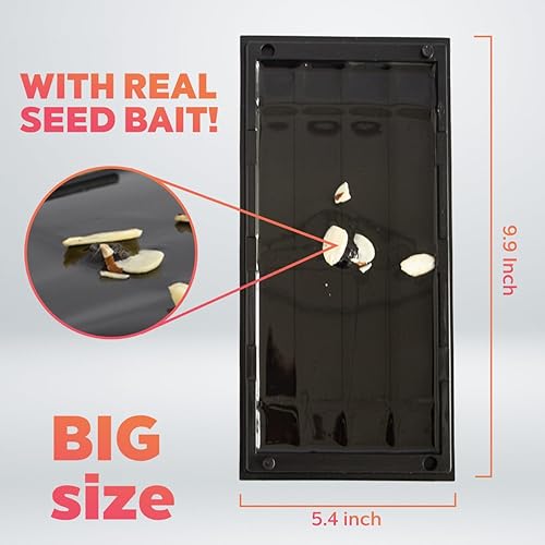 Miniatura 2 de Trampas de pegamento para ratas, ratones y serpientes, 2 bandejas con semillas de almendra real y olor a maní que atraen todo tipo de ratas y ratones