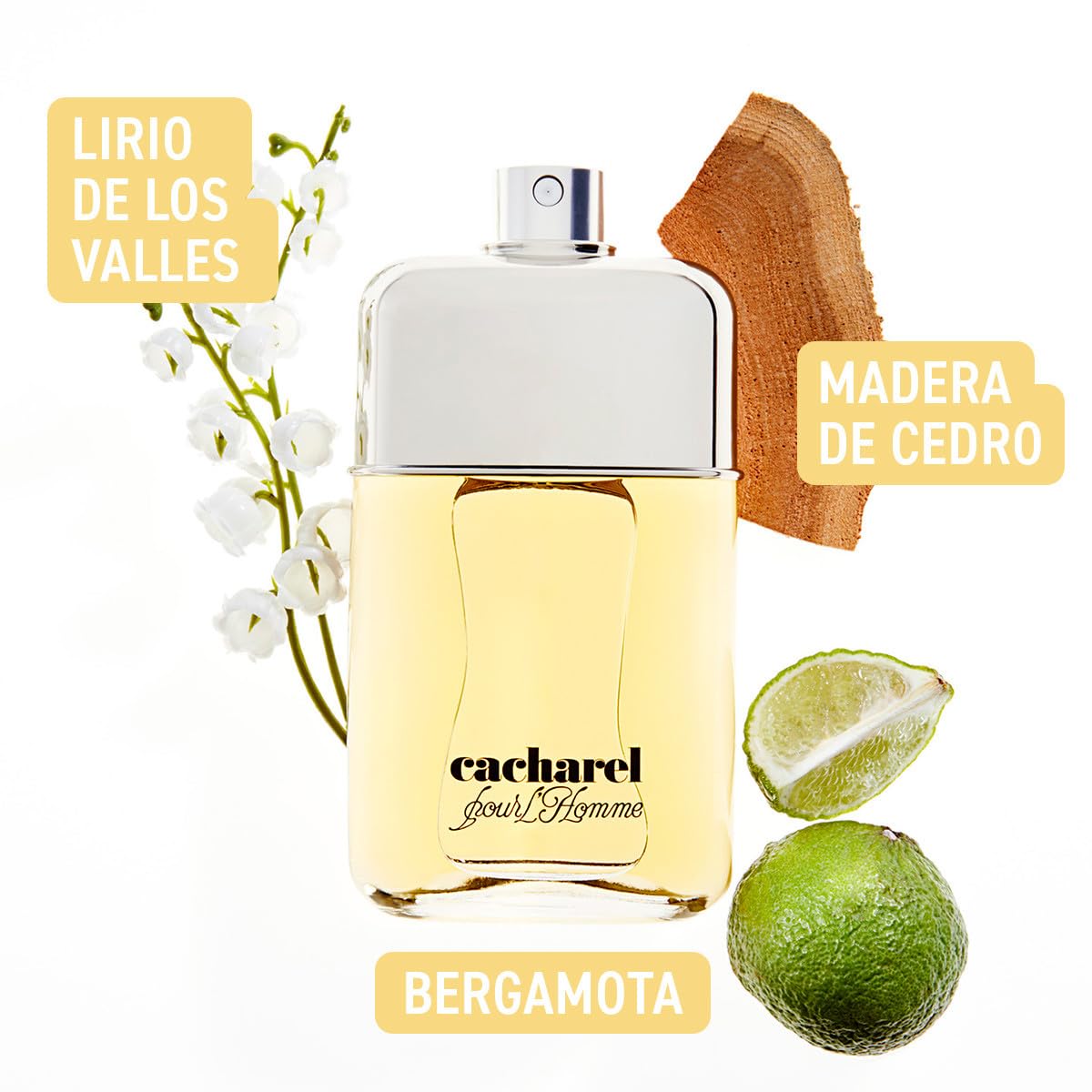 Cacharel Pour L'Homme Eau De Toilette de hombre en Vaporizador 100 ml | Bergamota, lavanda, nuez moscada, botella de piedras preciosas, sin parabenos, fragancia atemporal, larga duración