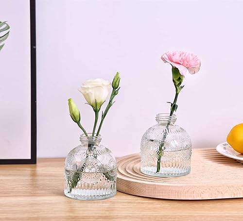 Miniatura 4 de Aebor Juego de 6 jarrones de cristal, frascos de flores de vidrio, botellas pequeñas para arreglos florales, jarrones florales decorativos rústicos