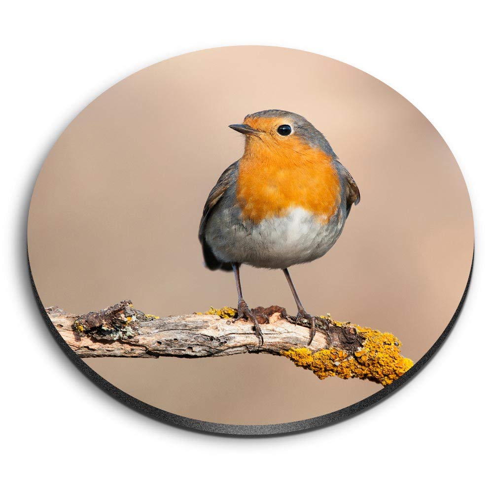 Destination Vinyl Ltd Multicolor 1 X Round Mdf Magnet - Red Robin Bird Garden Cute 2062