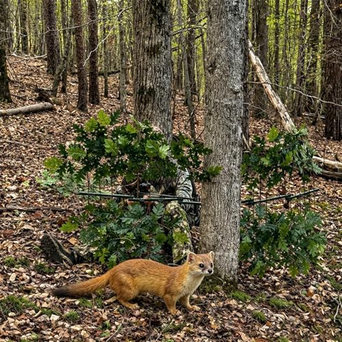 Support de branches d'arbres de chasse en métal pour préserver la tradition de l'affût - 2