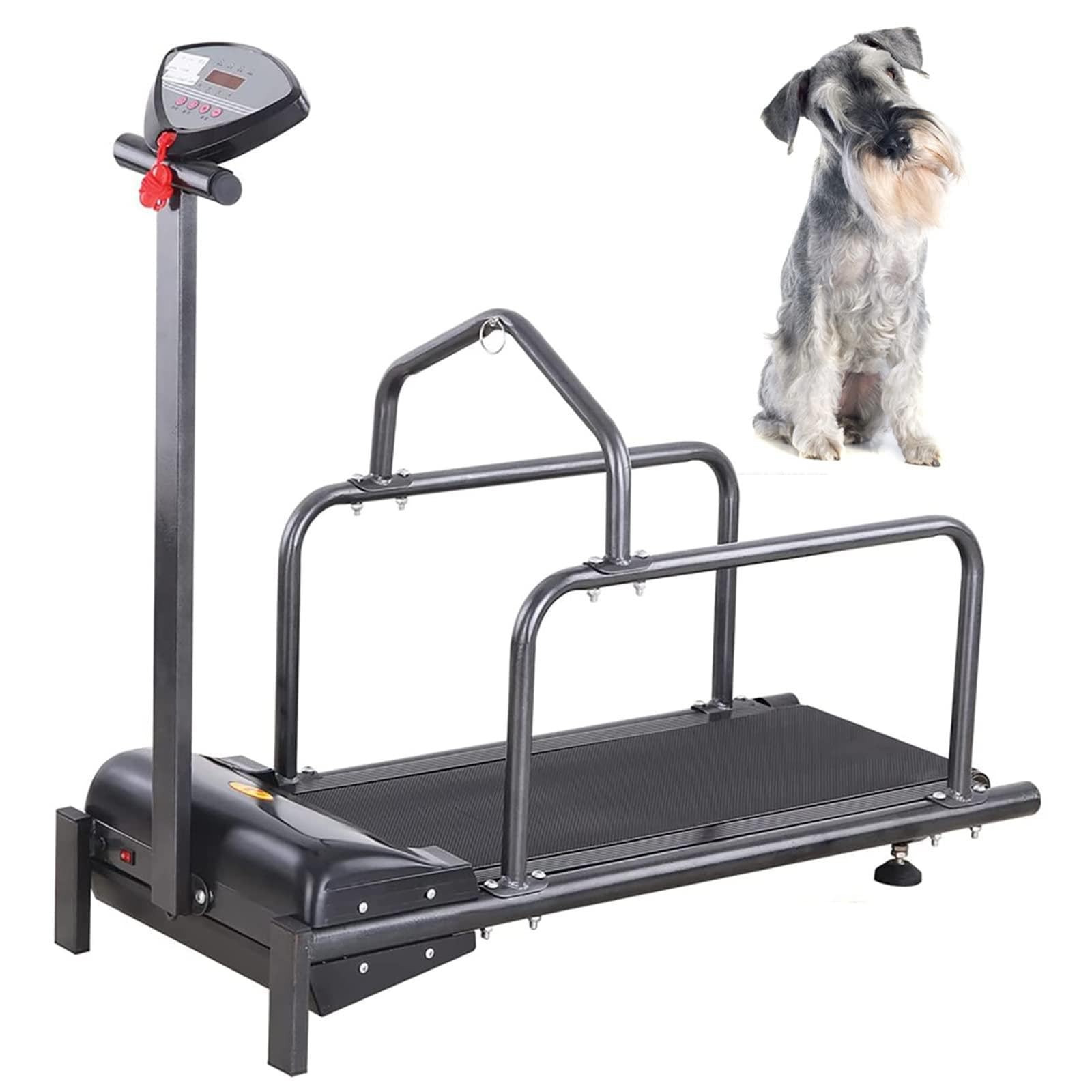 Hundelaufband für große Hunde, Hundelaufband, Hundelaufband für mittelgroße Hunde, Haustier-Laufband für das Training Kleiner und mittelgroßer Hunde, Indoor-Laufband