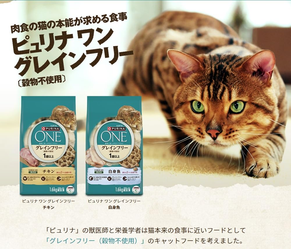 Amazon.co.jp: ピュリナ ワン ドライ グレインフリー チキン 1.6kg+