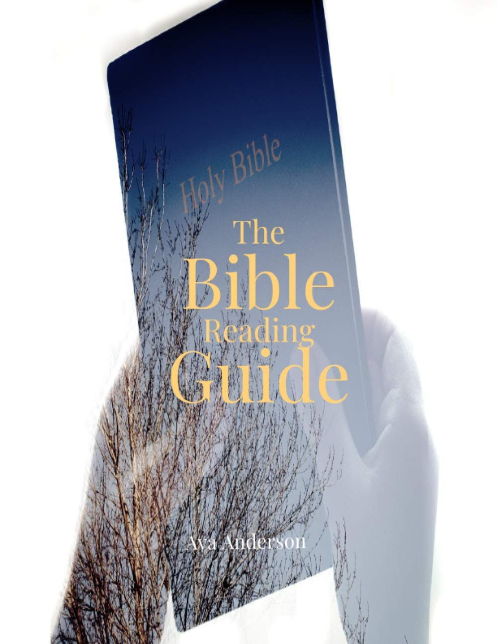 The Bible Reading Guide: A Bible Study Guide on How to Read Through the Bible in a Year.