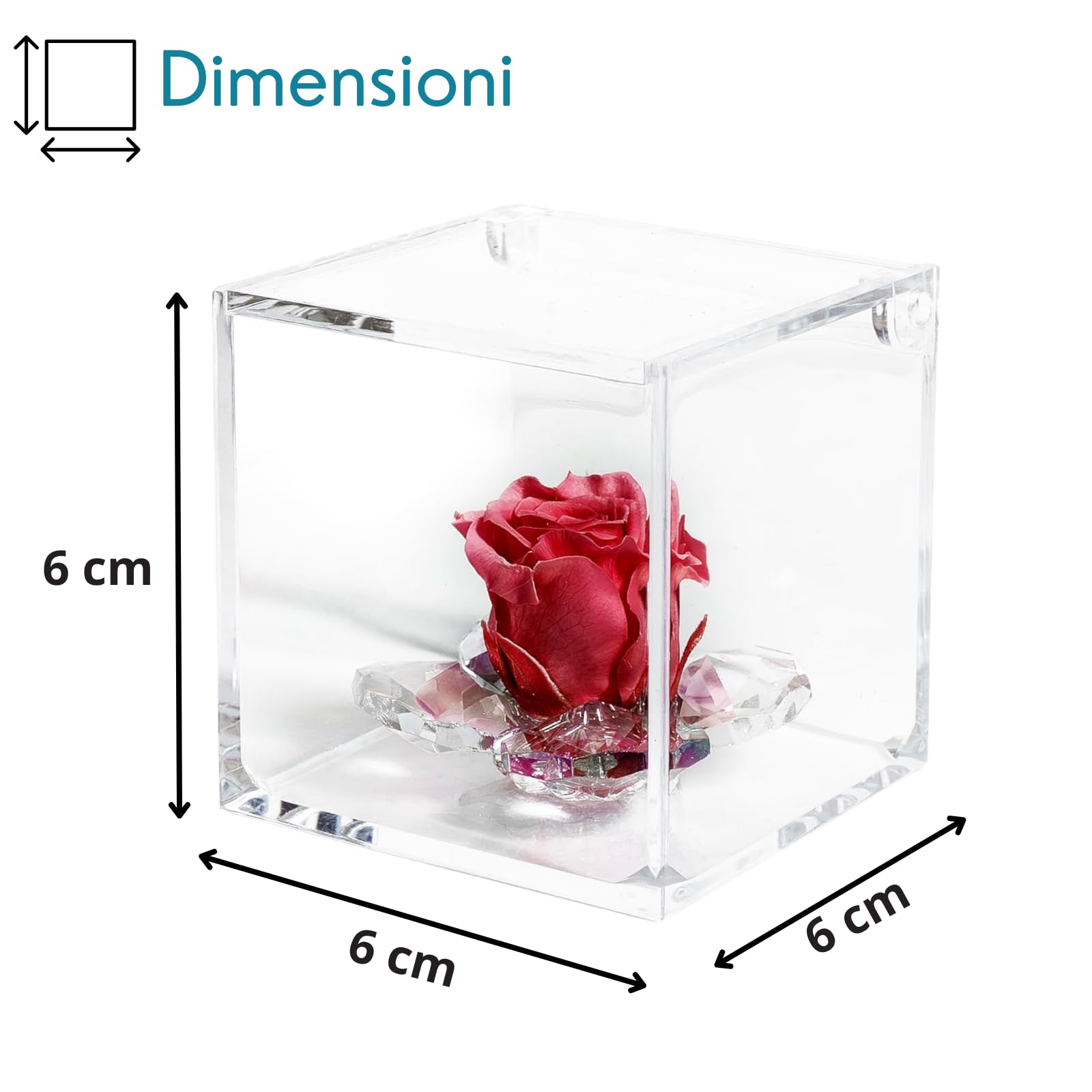 Debora Carlucci Rosa Stabilizzata Vera con 4 Petali in Cristallo Eterna in Cubo Idea Regalo Donna Blu-Bianco-Rosa-Rossa (Rosso)