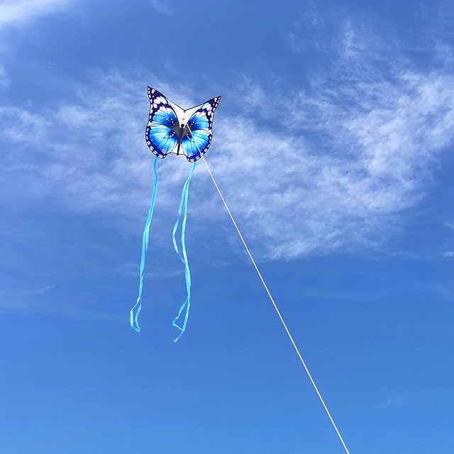 Foto 5 de 5 de Mint's Colorful Life Dragón de mariposa azul para niños y adultos
