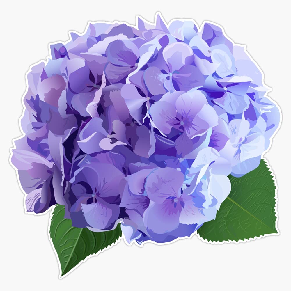 Watercolor Style Hydrangea Flowers Set. Vinyl Sticker Waterproof Bumper Sticker Laptop Window Decal 5"