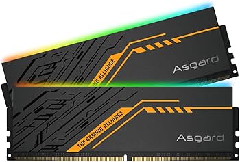 メモリー Asgard Valkyrie II DDR5 6000MHz CL28 32g 613uoMHB4zL._AC_UF350,