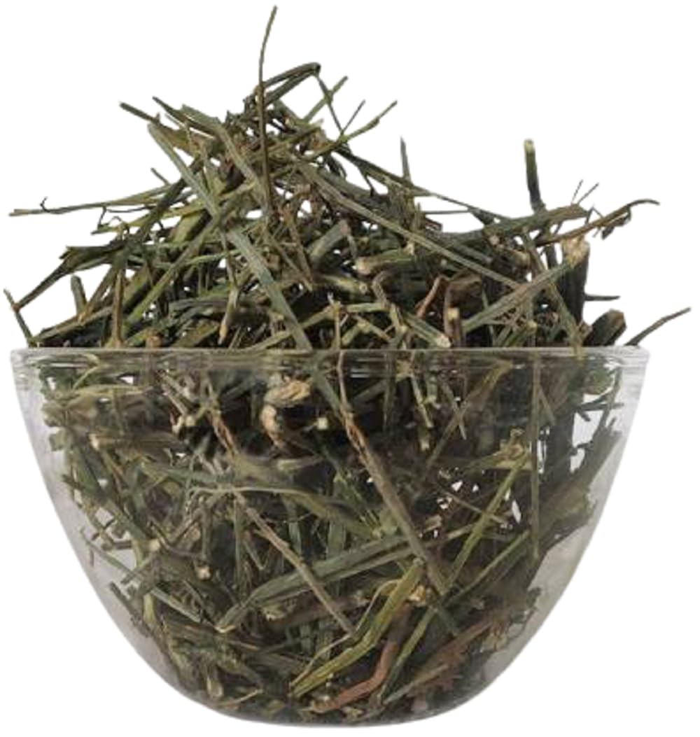 Chiraita Asli/Swertia chirata/चिरिता असली / स्वर्टिया चिरता एनिकोस्टेममा लिटोरेल / Enicostemma Littorale (100 Gms)