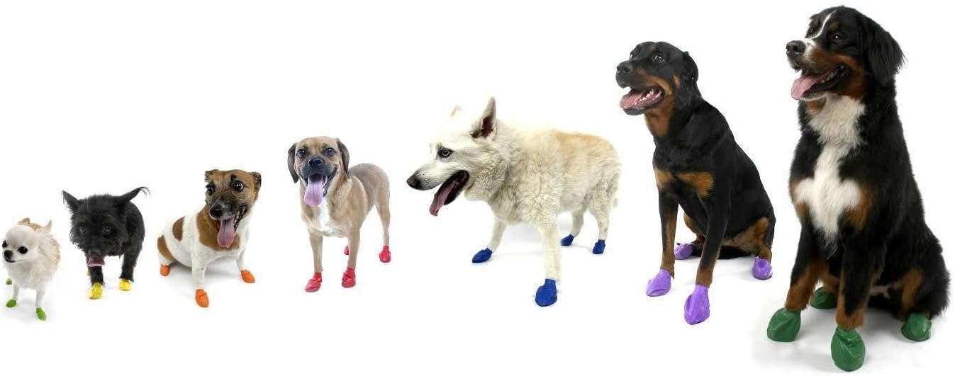 PAWZDog Boots XS,12 Pack, Black