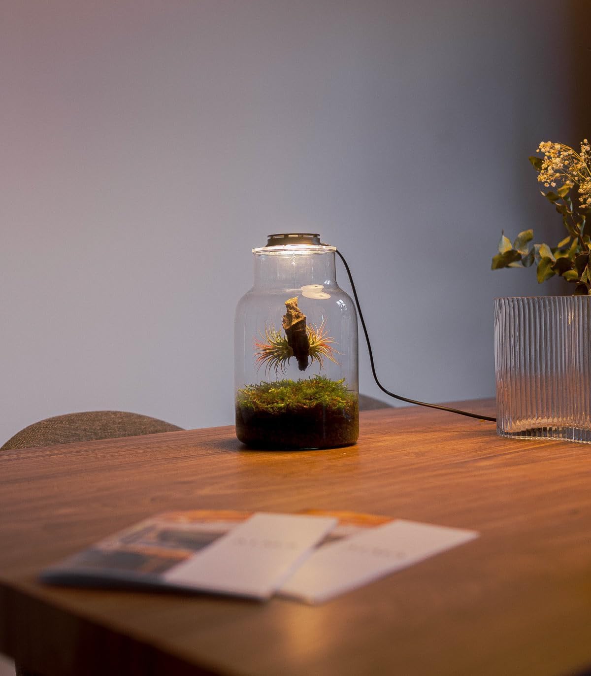 Terrarium Plantes d'Air Jardin Éternel MAKU en Verre Transparent avec Couvercle et Éclairage LED, 27 cm x 17