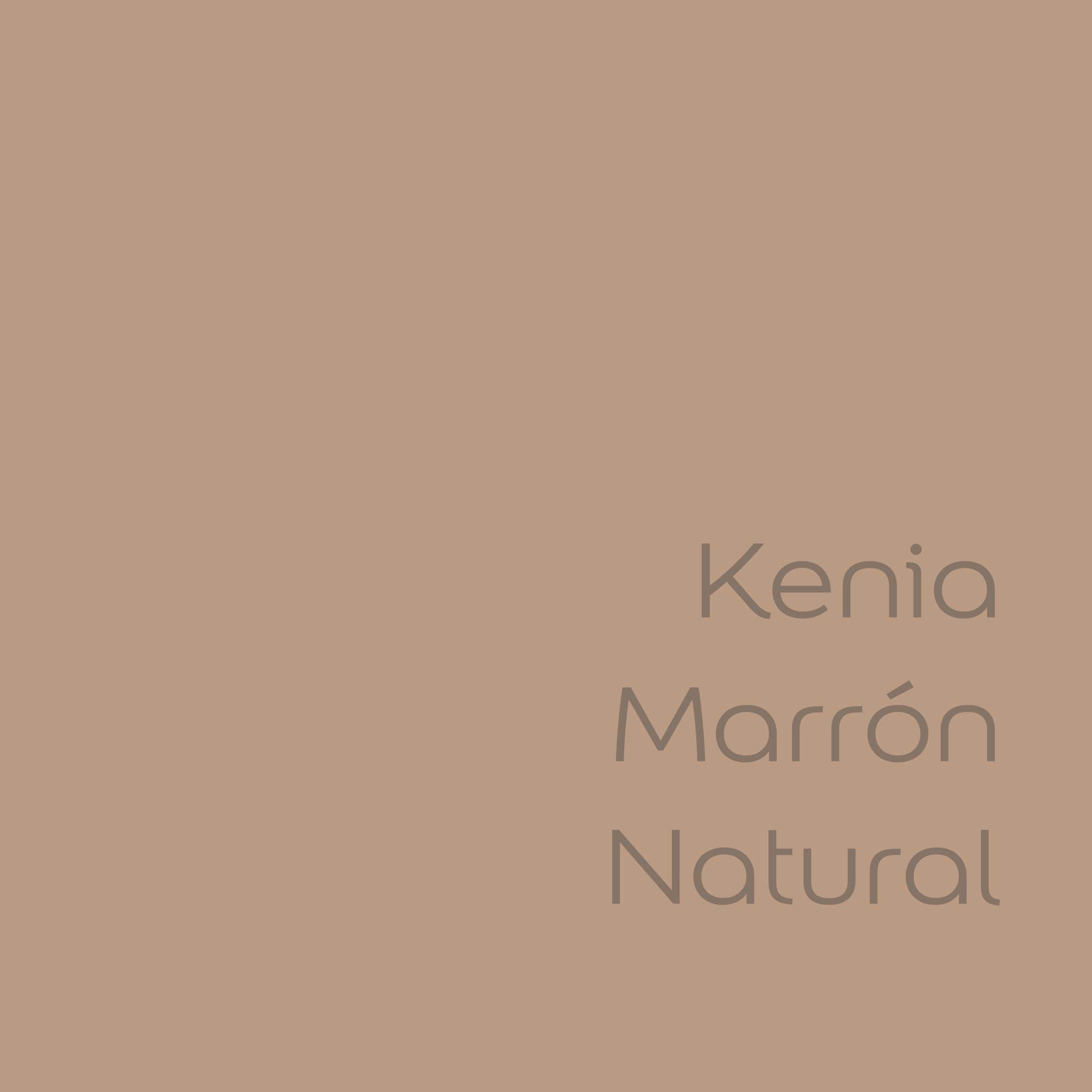 Bruguer Colores del Mundo Pintura para paredes monocapa Kenia Marrón Natural 4 L