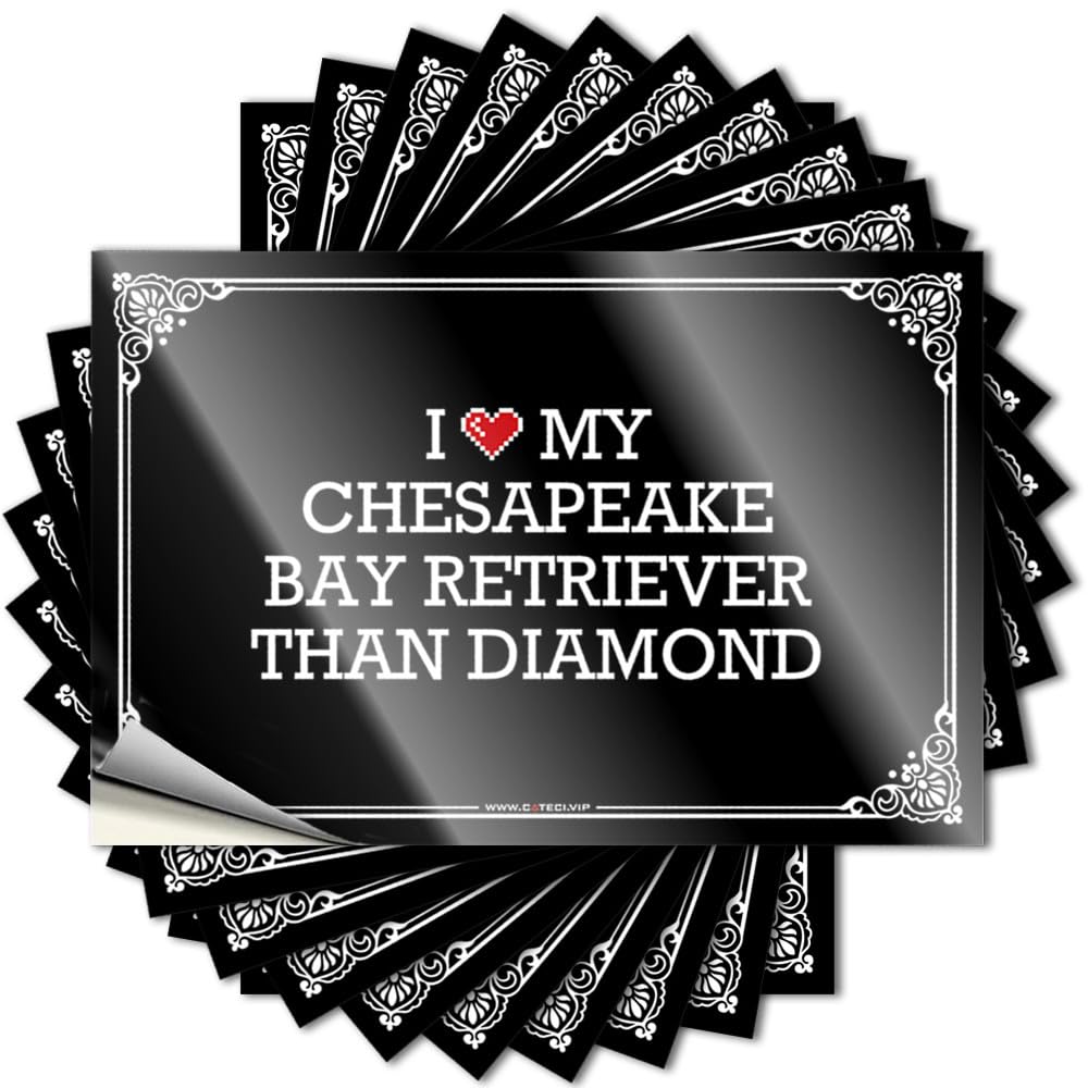 Lettering Sticker Rock Space Room Decor Laptop I Love My Chesapeake Bay Retriever Than Diamond - No Residue Decals for Absorbing(6X9CM)