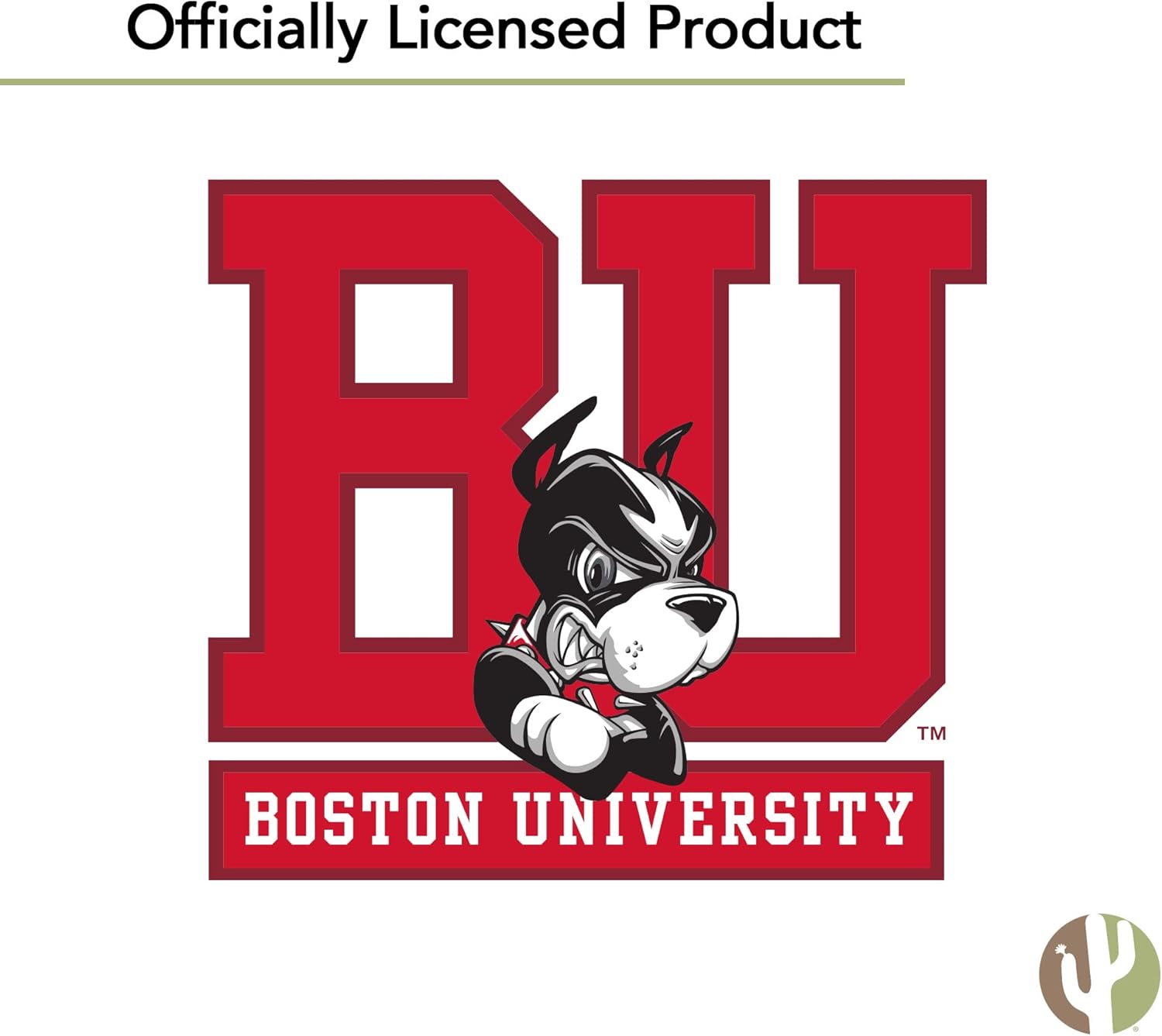 Desert Cactus Boston University Flag Terriers BU Banners 100% Polyester Indoor Outdoor 3x5 feet Flags (Team Name) - Image 6