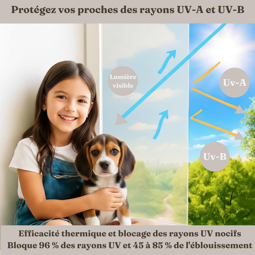 Film de confidentialité pour vitres et fenêtres (satiné, 60 x 400 cm) professionnel – Écran occultant pour bureau et maison – Film anti-UV, grand verre, statique, sans colle