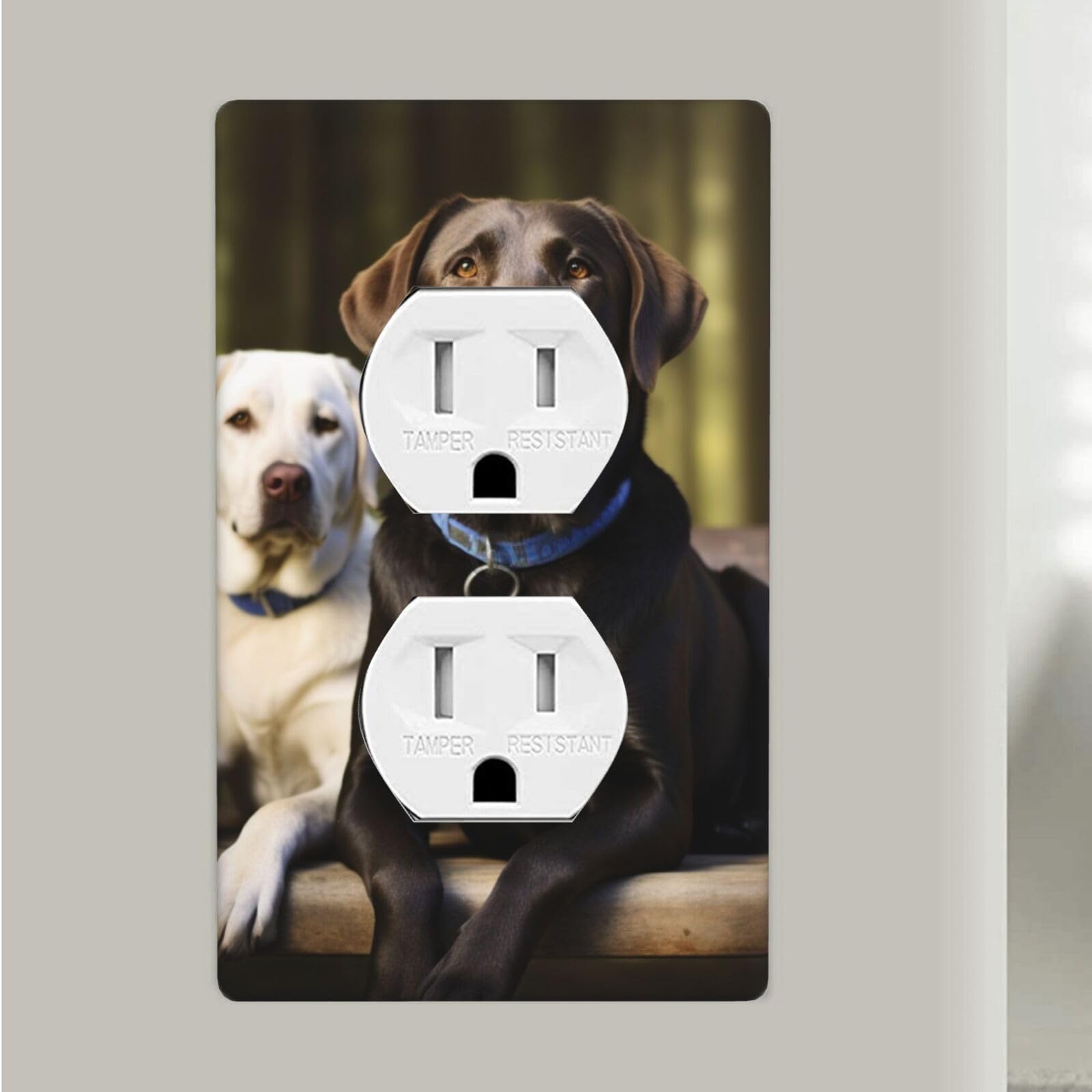 Labrador Duplex Receptacle Outlet Covers, 1-Gang Standard Size Wall Plates Unbreakable Polycarbonate Electrical Switchplate Cover Faceplate for Bathroom Kitchen Decor