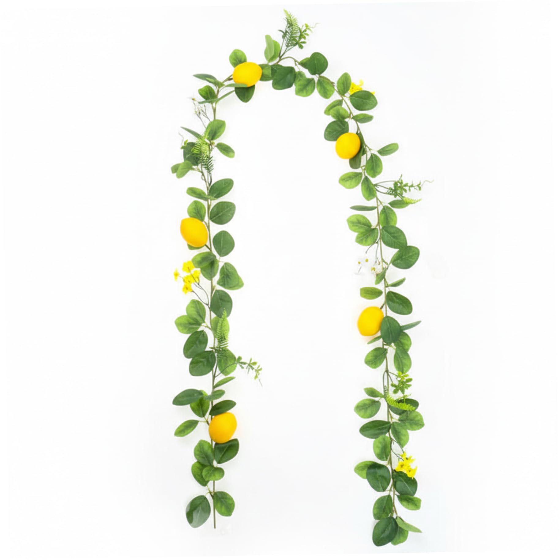 Guirlande vigne de citron artificielle pour masquer un mur vide
