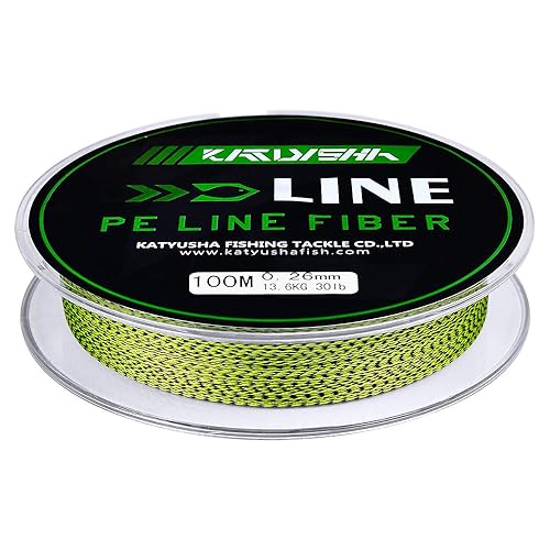 Braided Fishing Line, Abrasion Resistant Zero Stretch Braided Lines 4/8